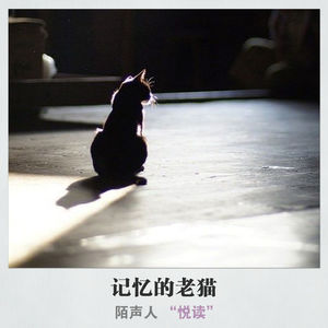 记忆的老猫