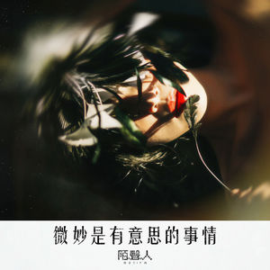 微妙是有意思的事情