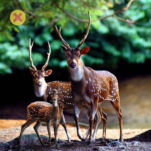 当初只顾爱你，无暇在乎结局