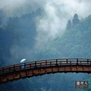 如有来生 愿鲁且愚