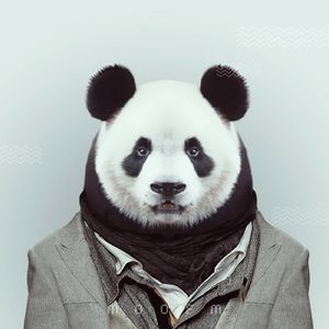 爱情又不能温故而知新