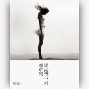 罗湖望不到晒草湾