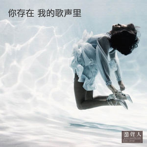 你存在 我的歌声里