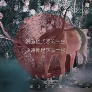 没有仪式感的人生永远都是灰头土脸