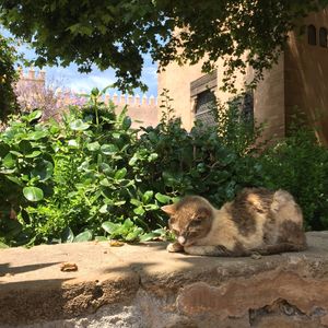 Fusion 03：「保护区不就是家庭主妇吗？！」feat. 日知录