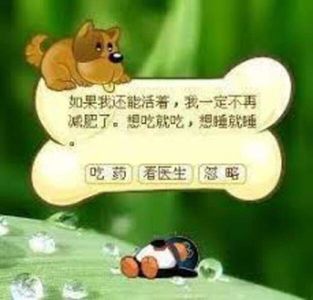 零食05：简中冲浪三十年