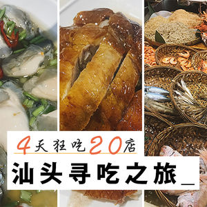 vol 25. 汕头寻吃之旅,4天狂吃20店！
