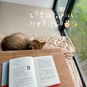 53当我不在读书的时候,我在做些什么