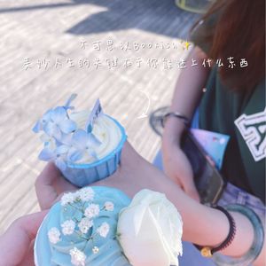 29美妙的人生关键在于你能迷上什么东西