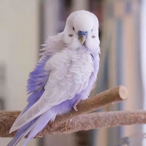 今天来聊聊育儿相关的英文，这些表达每天都可以和孩子说！