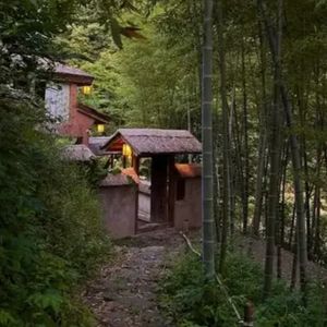 外刊精讲 | 欢迎来到隐居消费时代