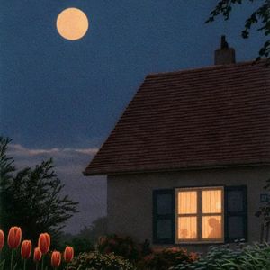 黑社会、帮派的英文是？—聊聊《扫黑风暴》