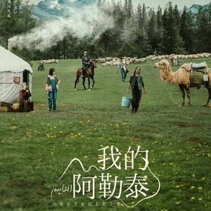 外刊精讲 | 年度高分爆款《我的阿勒泰》：到底美在哪？