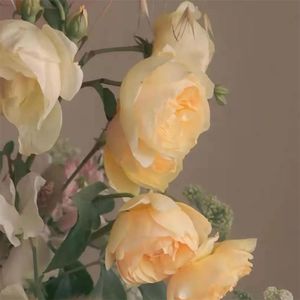 失眠的英文可不是can't sleep！来学睡觉相关的表达