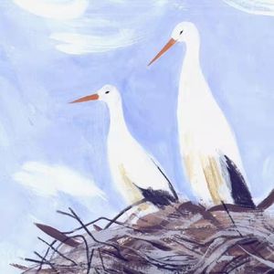 “晒黑了”用英语咋说？千万别跟老外说你black了！