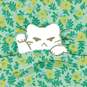 Bad apple不是坏苹果？A lemon也不是柠檬？