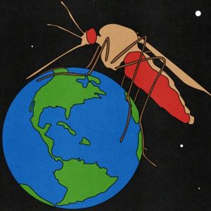 外刊精讲 | 600万人死于蚊子叮咬！都21世纪了，蚊子怎么还没有被消灭？