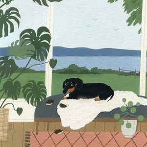 豆瓣8.6！爱情电影《花束般的恋爱》爆火！它的英文名居然是这个意思？