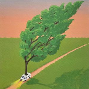 “chicken out”可不是“小鸡出来了”！理解错就尴尬了！