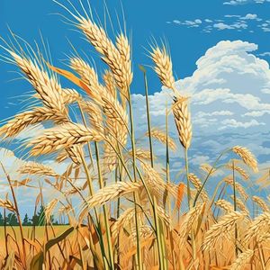 常忆袁公——聊聊袁隆平生平