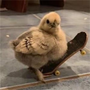 拿了奥斯卡后，她又回红灯区当妓女了，「红灯区」用英语怎么说？