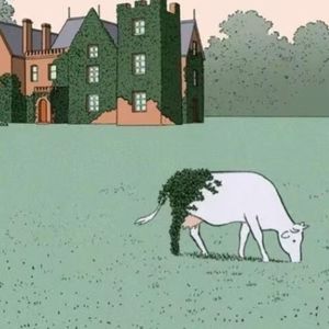 “破防”用英文怎么说？千万别翻译成 break defense！