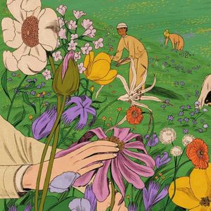 外刊精讲 | 为什么说成年人学习一门外语从来不会晚?