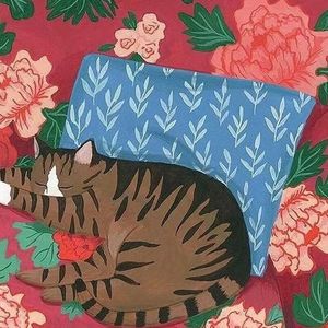 女汉子、身材羞辱的英文是?