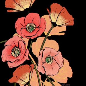 摇钱树的英文是?