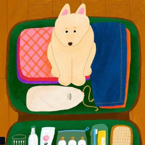 chicken out 可不是鸡跑出去啦！哈哈笑不活了，真实意思万万想不到！