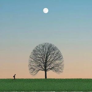 畅销、限量版的英文是？