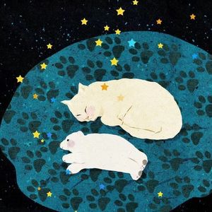 娱乐圈超级富二代，出家了,「出家」用英文怎么说