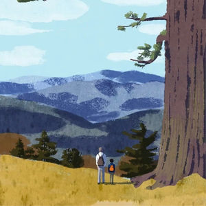 泰国孕妇坠崖案大反转！无期徒刑改判成十年？「无期徒刑」用英文咋说？