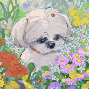 a school of fish,是一学校的鱼?鱼:听我说谢谢你