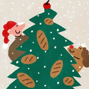 新冠抗原试剂盒上的 C、T 到底啥意思?(你肯定不知道)