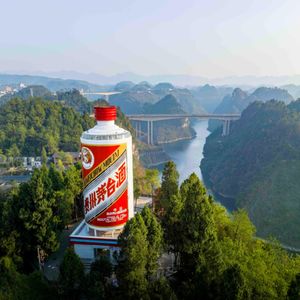 外刊精讲 | 从贵州茅台、农夫山泉和百威看中国消费的未来