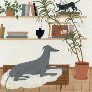 网络热词“舔狗”用英语怎么说？当然不是 Licking Dog!