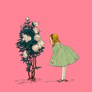 match 和 competition 都是比赛,有什么区别?