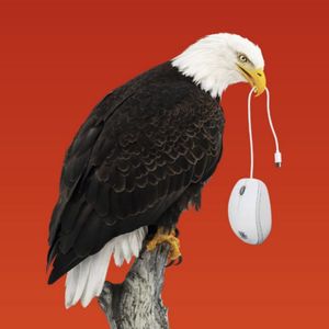外刊精讲 | 美国突发最强AI封杀令！美元之后，美国又拿一张王牌！对中国意味着什么？