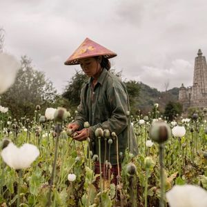 外刊精讲 | 中国男演员泰缅边境失联：缅甸为何沦为“全球罪恶之都”？