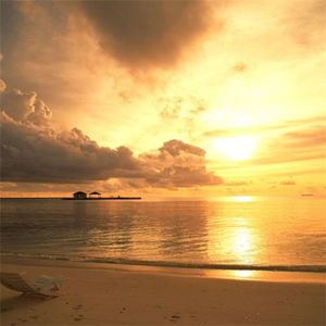 pig out 是像猪一样出去吗？错！一点关系都没有