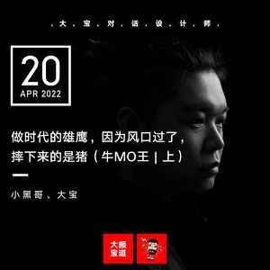 vol.205做时代的雄鹰,因为风口过了,摔下来的是猪(牛MO王|上)