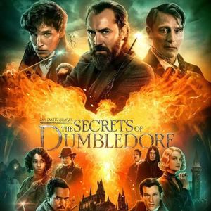 NO.231《神奇动物在哪里：邓布利多的秘密》-邓布利多你们家有多少秘密啊