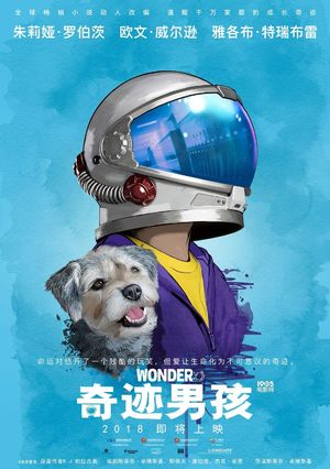 影评《奇迹男孩》: 这个世界不只关于你