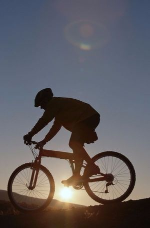 #采访：蹬着沃尔玛的单车100天横跨了美国（下）