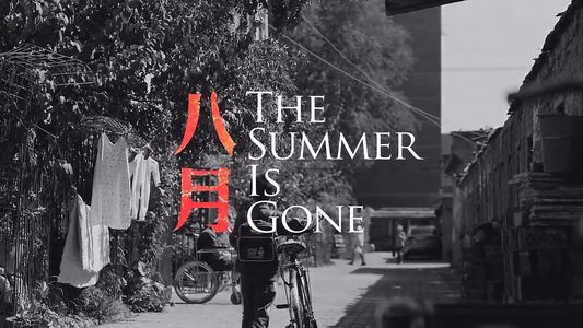 采访《八月》声效师:电影声音怎么做