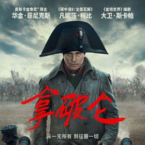拿破仑 没有人物亮点的人物传记