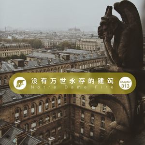 313期 / 巴黎圣母院大火:没有建筑能万世永存 - Notre Dame Fire