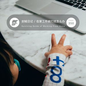 350 / 新西兰封城日记第六篇·在家工作被打扰怎么办 - Surviving Guide of Working From Home