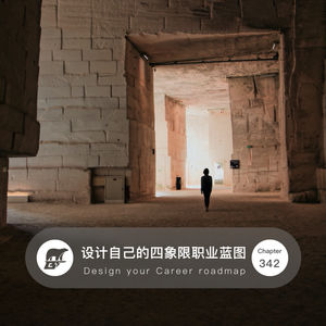 342 / 设计自己的四象限职业蓝图 - Design your Career roadmap